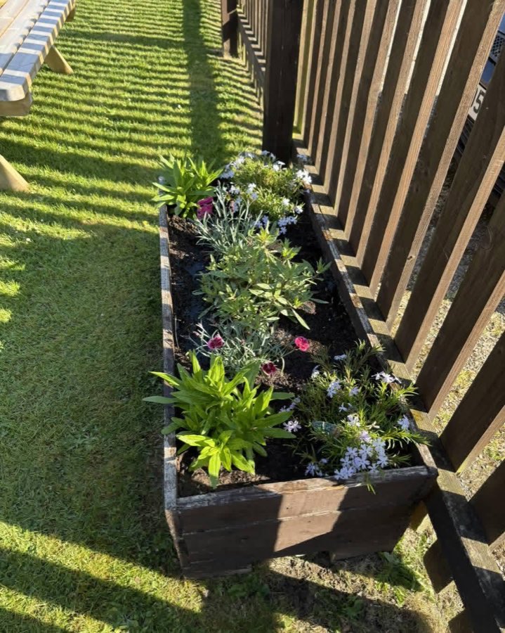 Flowers planted along the garden fence